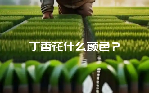 丁香花什么颜色？-会东网
