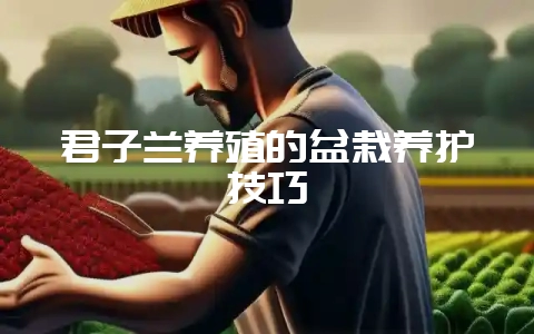 君子兰养殖的盆栽养护技巧-会东网