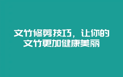 文竹修剪技巧，让你的文竹更加健康美丽-会东网