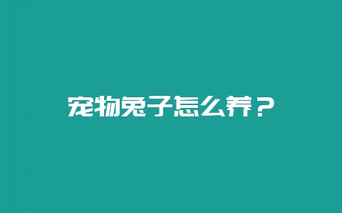 宠物兔子怎么养？-会东网