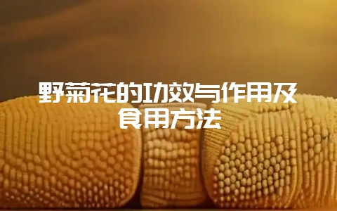 野菊花的功效与作用及食用方法-会东网