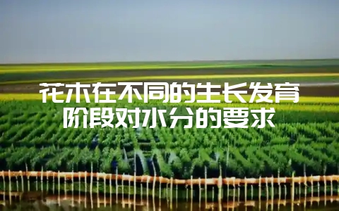 花木在不同的生长发育阶段对水分的要求-会东网