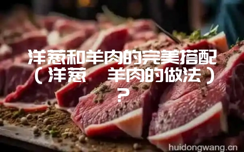 洋葱和羊肉的完美搭配(洋葱炖羊肉的做法)?-会东网