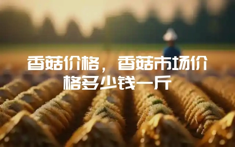 香菇价格，香菇市场价格多少钱一斤-会东网