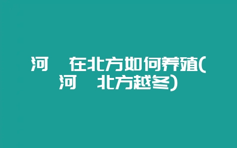 河豚在北方如何养殖(河豚北方越冬)-会东网