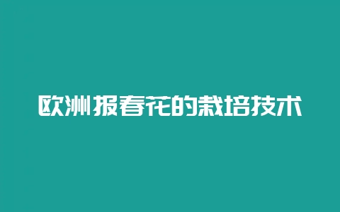 欧洲报春花的栽培技术-会东网