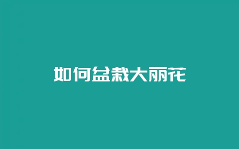 如何盆栽大丽花-会东网