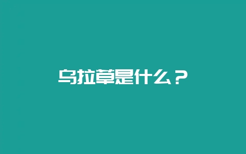 乌拉草是什么？-会东网