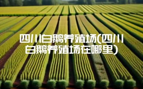 四川白鹅养殖场(四川白鹅养殖场在哪里)-会东网