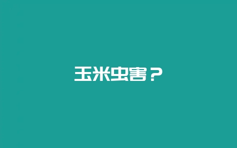 玉米虫害？-会东网
