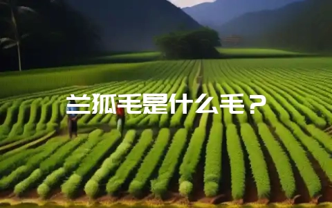 兰狐毛是什么毛?插图 兰狐毛是什么毛?插图