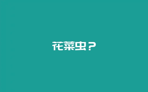 花菜虫？-会东网
