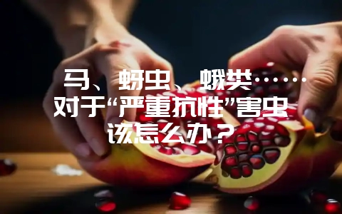 蓟马、蚜虫、蛾类……对于“严重抗性”害虫该怎么办？-会东网