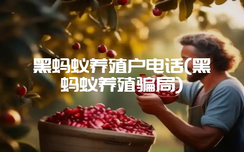 黑蚂蚁养殖户电话(黑蚂蚁养殖骗局)-会东网