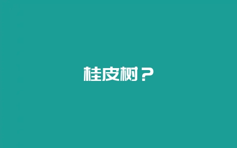 桂皮树？-会东网