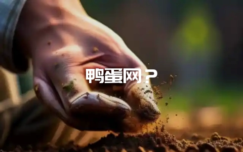鸭蛋网？-会东网