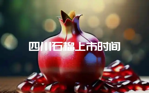 四川石榴上市时间-会东网