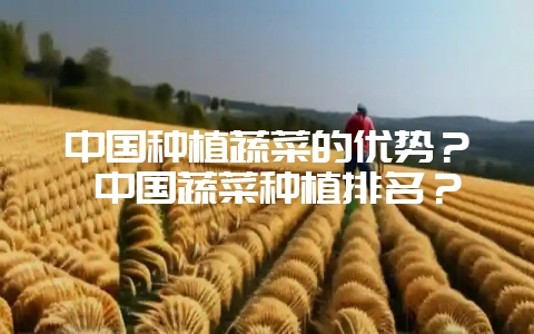 中国种植蔬菜的优势？ 中国蔬菜种植排名？-会东网
