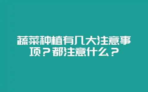蔬菜种植有几大注意事项？都注意什么？-会东网