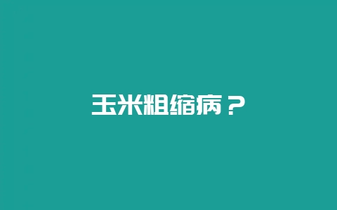 玉米粗缩病？-会东网