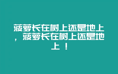 菠萝长在树上还是地上，菠萝长在树上还是地上 !-会东网