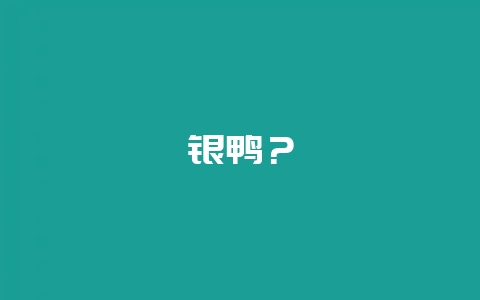 银鸭？-会东网