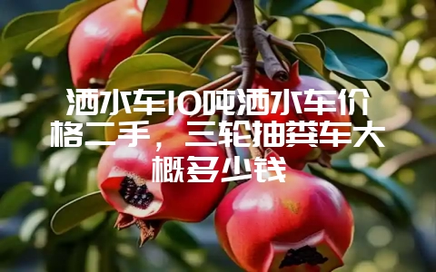洒水车10吨洒水车价格二手，三轮抽粪车大概多少钱-会东网