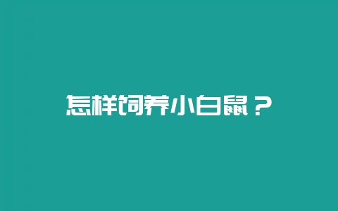 怎样饲养小白鼠?-会东网