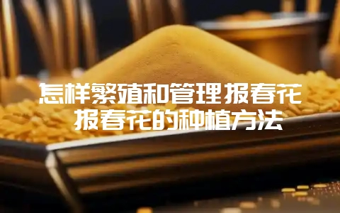 怎样繁殖和管理报春花 报春花的种植方法-会东网