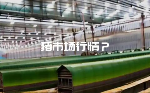 猪市场行情？-会东网
