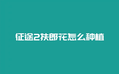 征途2扶郎花怎么种植-会东网