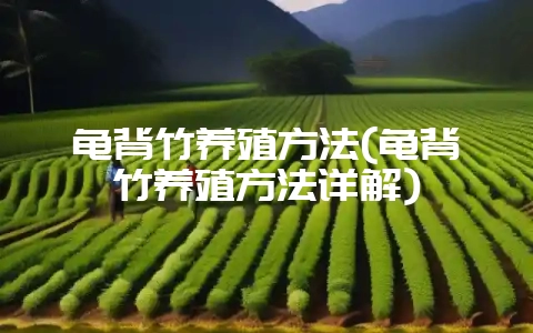 龟背竹养殖方法(龟背竹养殖方法详解)-会东网