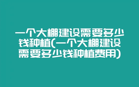 一个大棚建设需要多少钱种植(一个大棚建设需要多少钱种植费用)-会东网