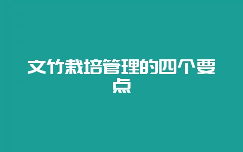 文竹栽培管理的四个要点-会东网