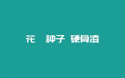 花卉种子 硬骨凌霄-会东网