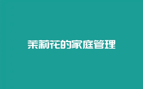 茉莉花的家庭管理-会东网
