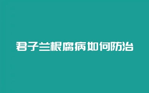 君子兰根腐病如何防治-会东网