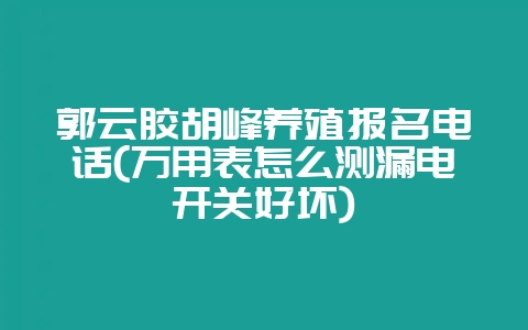 郭云胶胡峰养殖报名电话(万用表怎么测漏电开关好坏)-会东网