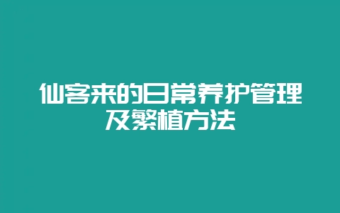 仙客来的日常养护管理及繁植方法-会东网