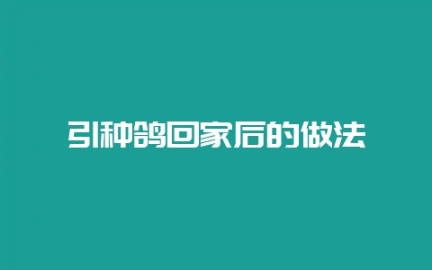 引种鸽回家后的做法-会东网