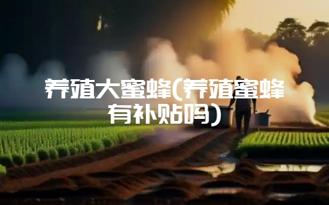 养殖大蜜蜂(养殖蜜蜂有补贴吗)-会东网