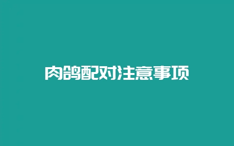 肉鸽配对注意事项-会东网