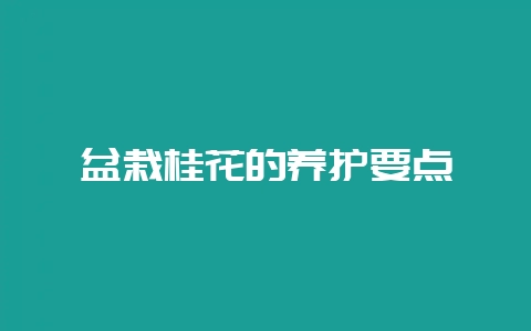 盆栽桂花的养护要点-会东网