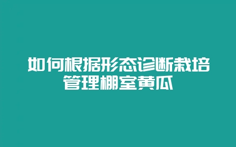 如何根据形态诊断栽培管理棚室黄瓜-会东网