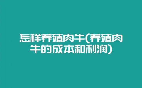 怎样养殖肉牛(养殖肉牛的成本和利润)-会东网