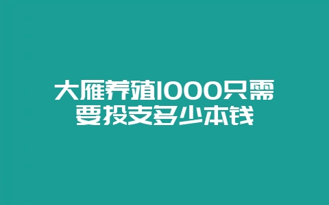 大雁养殖1000只需要投支多少本钱-会东网