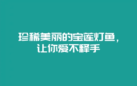 珍稀美丽的宝莲灯鱼，让你爱不释手-会东网