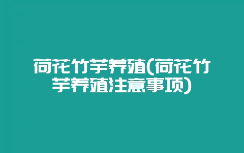 荷花竹芋养殖(荷花竹芋养殖注意事项)-会东网