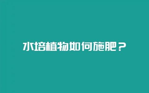 水培植物如何施肥？-会东网