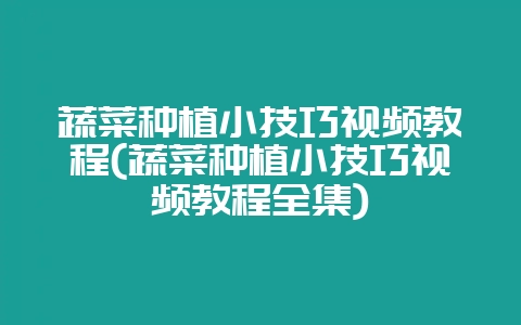 蔬菜种植小技巧视频教程(蔬菜种植小技巧视频教程全集)-会东网
